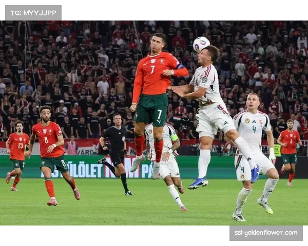 葡萄牙足球联盟需加强监管，防止类似博阿维斯塔案例重演