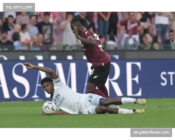 佛罗伦萨1比2不敌维罗纳 积分6分继续意甲垫底